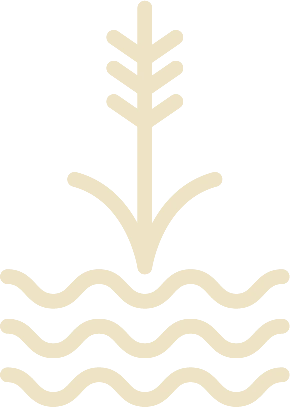 Restaurante Casa Concha